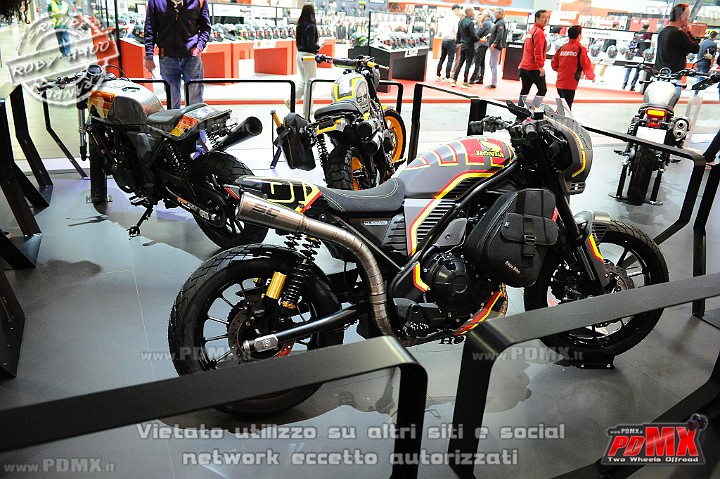 _ROB2007 (Copy).jpg
